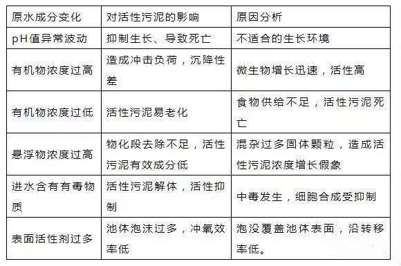 原水成分變化對活性污泥的影響_副本.jpg