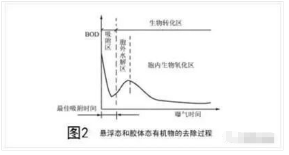 污水是怎樣被活性污泥凈化的